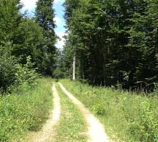 Naturerlebnispfad Sternberg