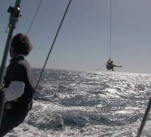 Not only birds can fly