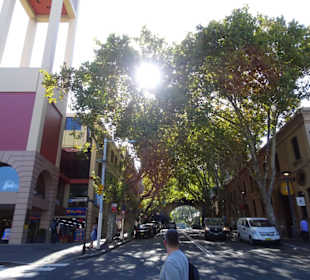 Stadtrundgang Sydney