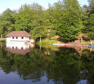Felsenweg am Bärenloch in Kindsbach