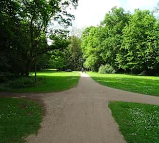 Frühlingsspaziergang durch das Eversten Holz
