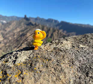 Inselrundfahrt Gran Canaria