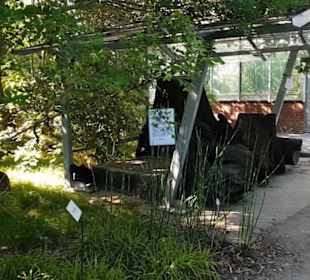 Botanischer Garten