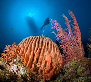 Underwater World Pemuteran