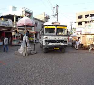 LKW und Tiere, alles kein Problem
