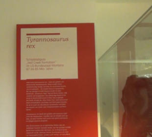 Niedersächsisches Landesmuseum