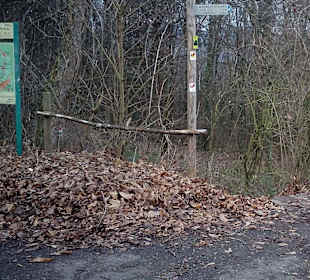 Mönchsweg in Annweiler am Trifels