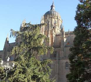 Catedral de Salamanca