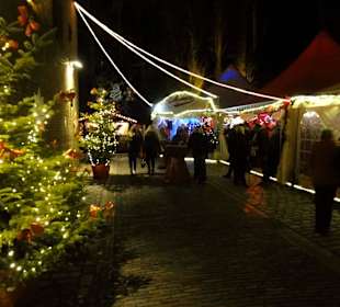 Impressionen vom Weihnachtsmarkt am Schloss