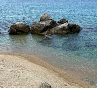 Toroni