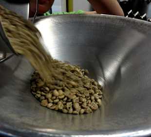 Einfüllen der Bohnen in die Röstmaschine