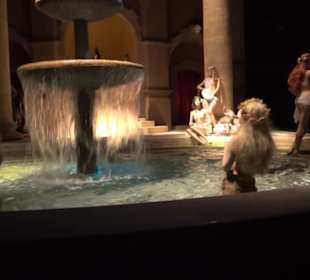 Erlebnispark Tripsdrill