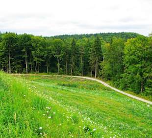 Das Oberbecken Happurger Stausee
