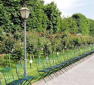 Volksgarten Wien