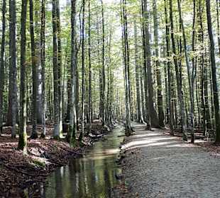 Gasthaus Schwellhäusl