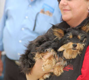 Bin ich nicht ein Süßer