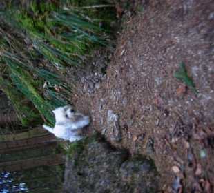 Wanderweg