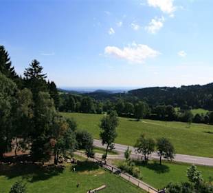 Sommerrodelbahn in Sankt Englmar