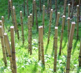 Außenansicht und Umgebung