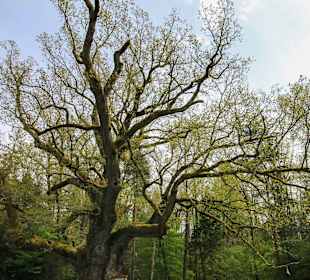 Wandern Bad Blumau
