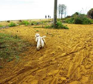 Ende September 2010 Inspirationen