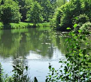An den Fleeten des Krimpelsees