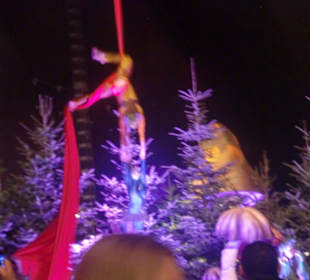 Am Seil im Märchenwald