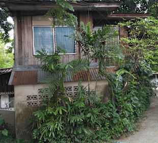 Mit Green Mango das ursprüngliche BKK entdecken.