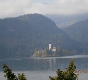 Bled