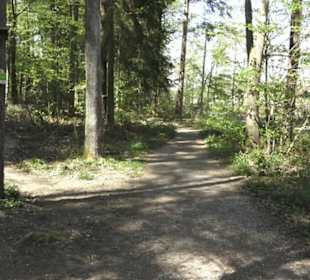 Wanderweg Hochgehwachsen