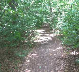 Wandertour Greifensteinrunde