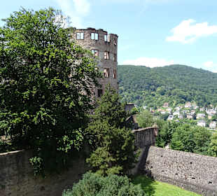 Schloss Heidelberg und Umgebung