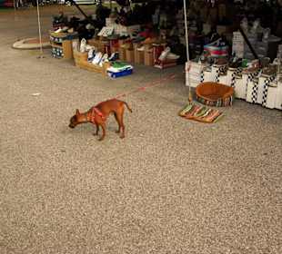 Gehört den Inhabern vom Geschäft