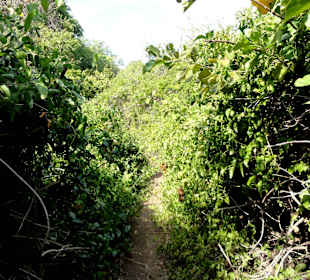 Spaziergang durch den Hòfi Pastor Park