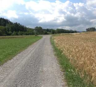 Wanderweg Ammerbucher Gigeleswegle