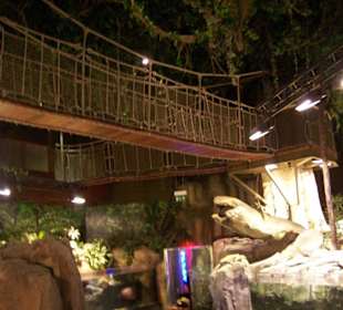 Unterwasserzoo in der Dubai Mall