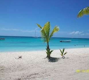 Auch am Strand von Saona, ein Traum diese Blau!