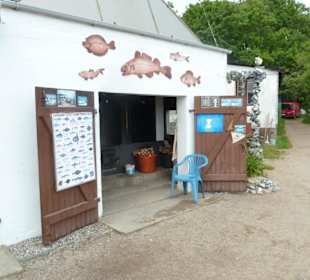 Vitt auf Rügen