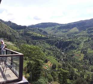 Maskeliya Teeplantage