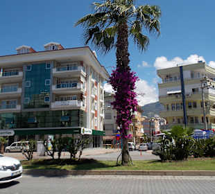 Променад Оба-Аланья