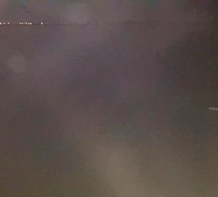 Quallen sehr viele dort