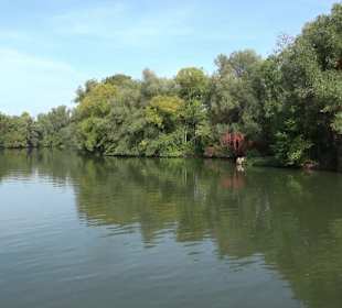 Wanderung zur Burgruine Liebenau