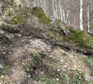 Wasserfallsteig
