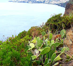 Ausblick vom Denkmalplatz