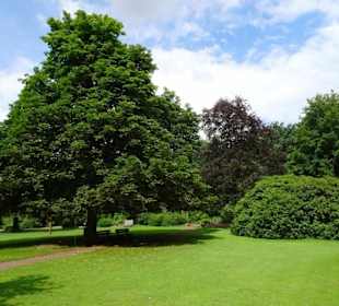 Hochsommer im Kurpark Bruchhausen-Vilsen