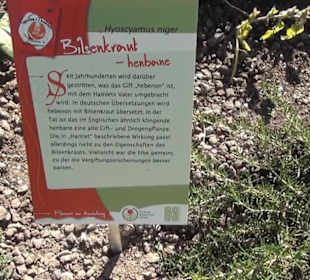 Wüstengarten - Berggarten