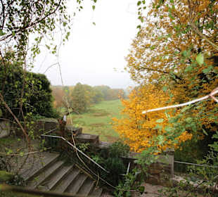 Blick in die Muldenaue