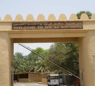 Tour Al Ain