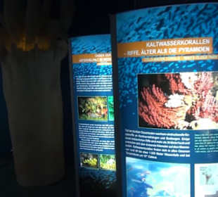 Meeresmuseum Stralsund