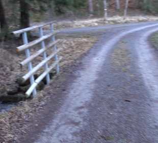 Ochsenweiher Rundweg